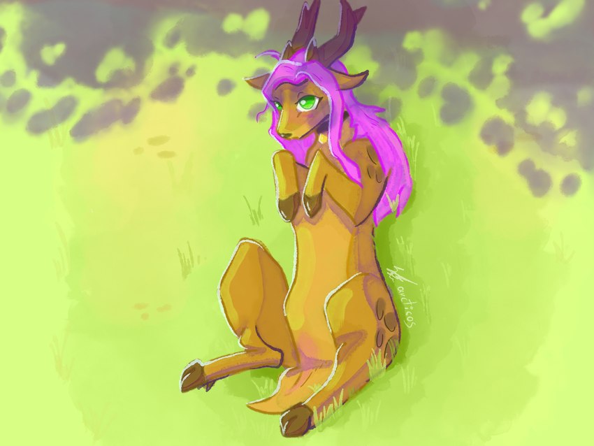flayra created by arcticos