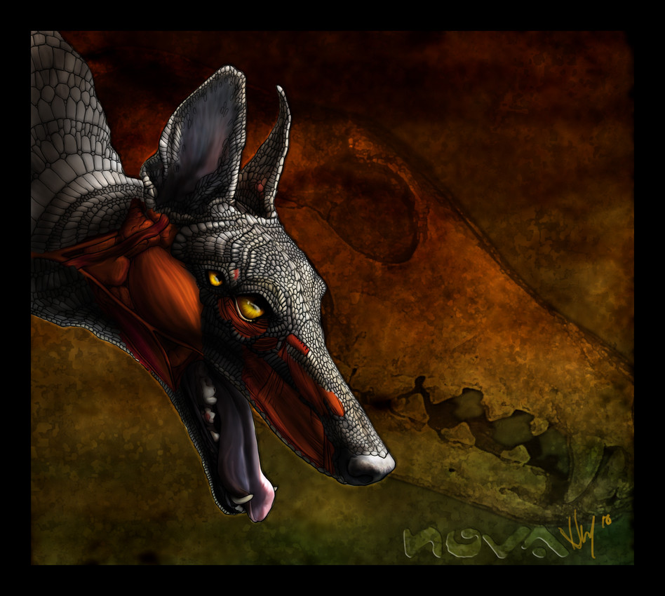 created by novawuff