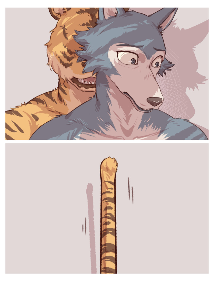 bill and legoshi (beastars) created by sadness hao