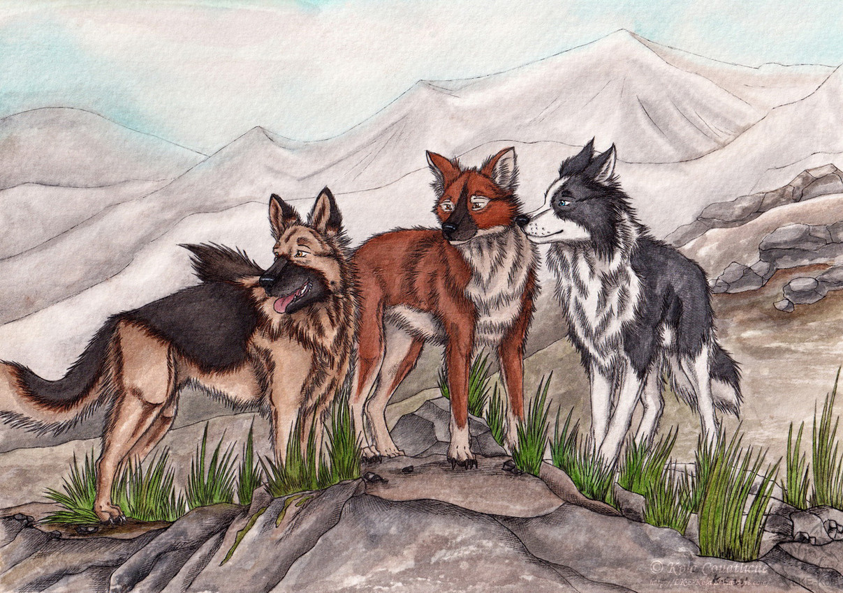 created by kola (artist)