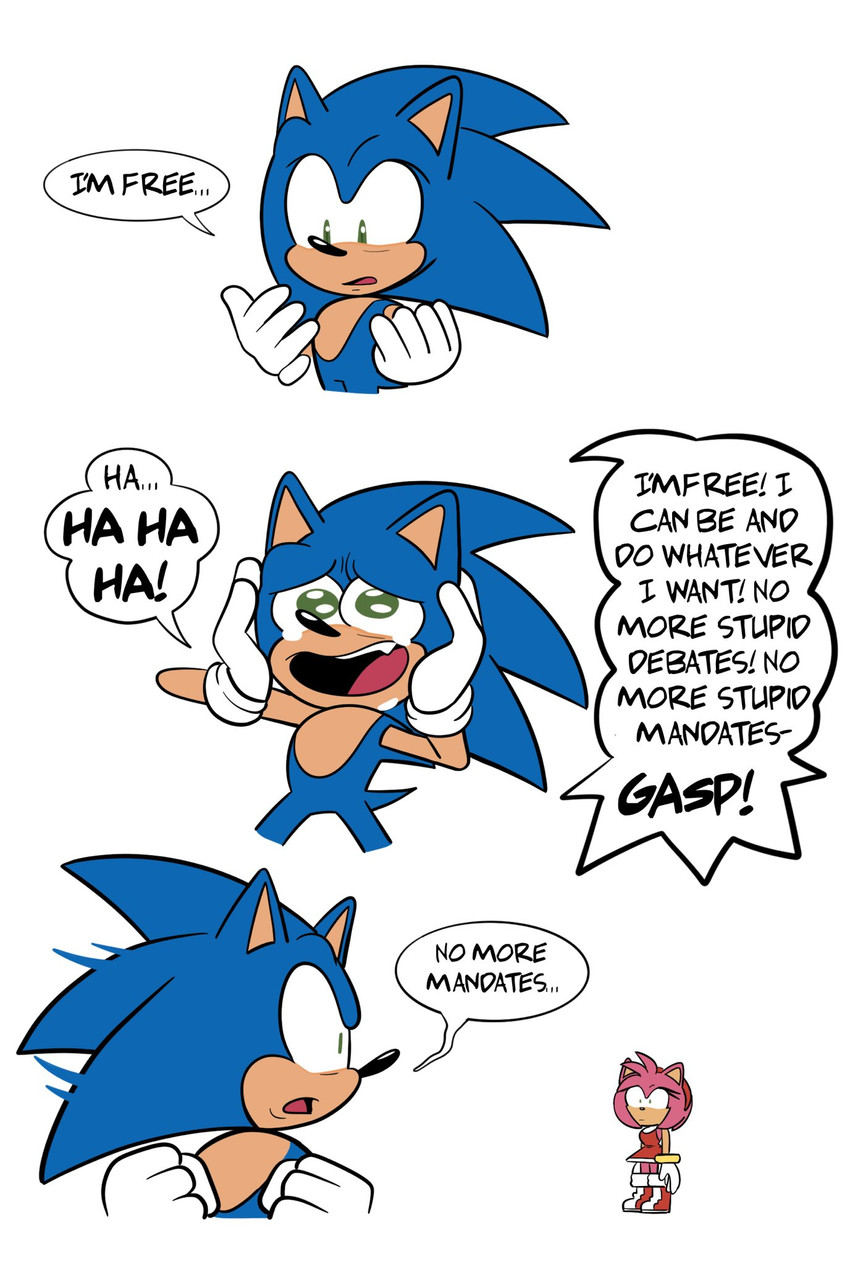 amy rose and sonic the hedgehog (sonic the hedgehog (series) and etc) created by fernsstories