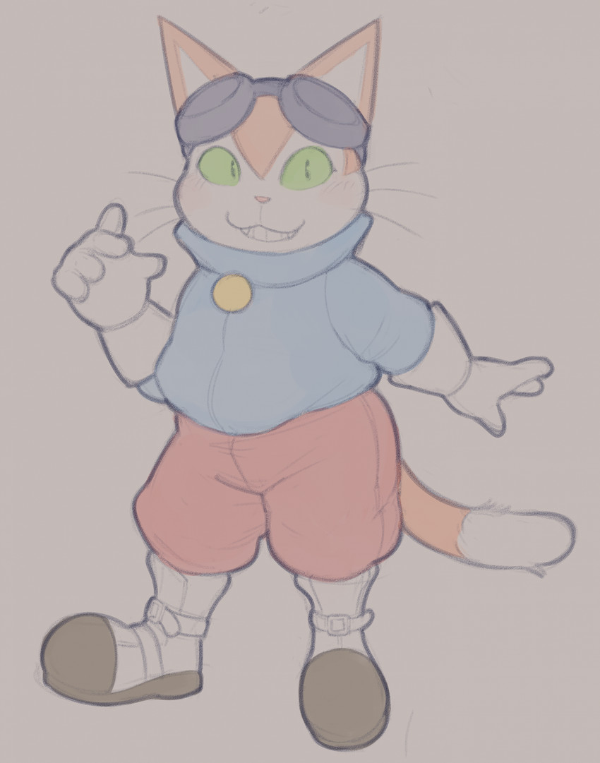 blinx (blinx the time sweeper and etc) created by cafongterua