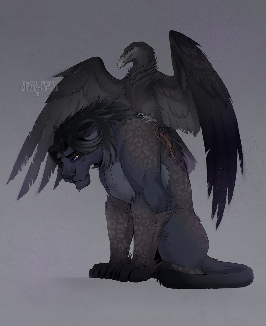 created by santanahoffman