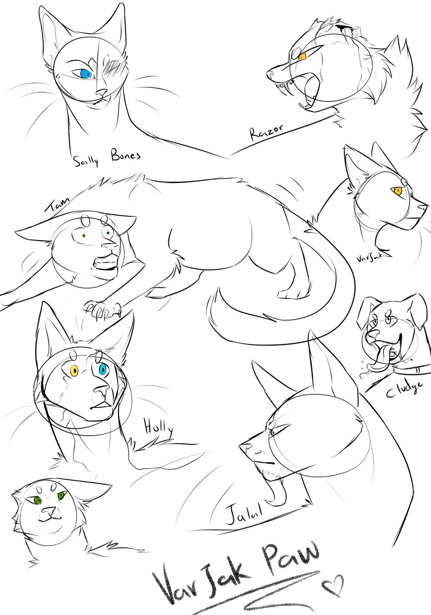 varjak paw, cludge, holly, razor, tam, and etc (varjak paw) created by siawolfurry