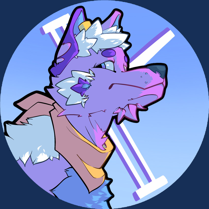 kopiqu created by test1a
