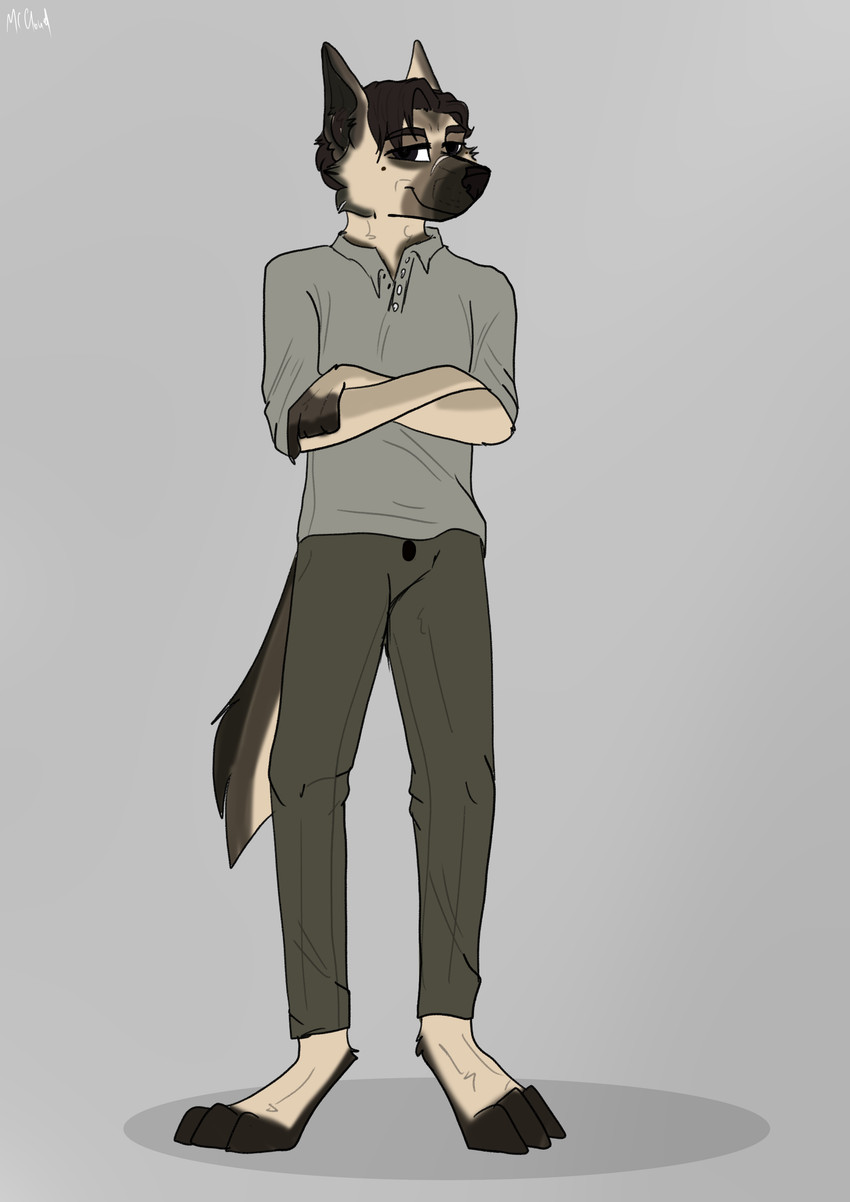 albert vermeulen created by artchaosos
