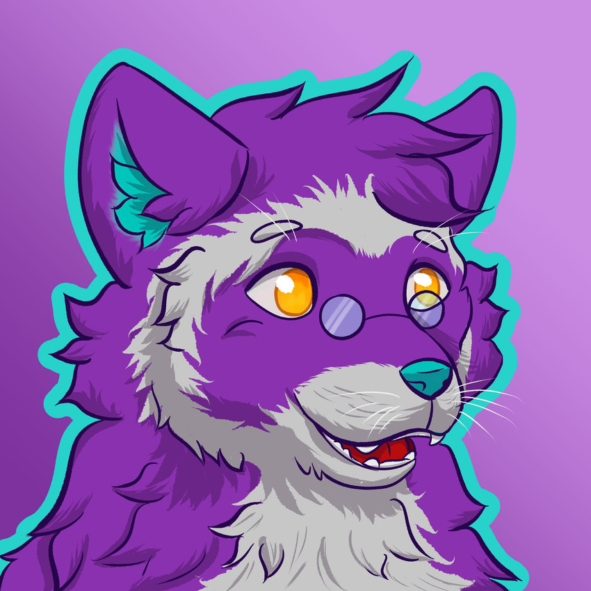 kafei created by zvekz