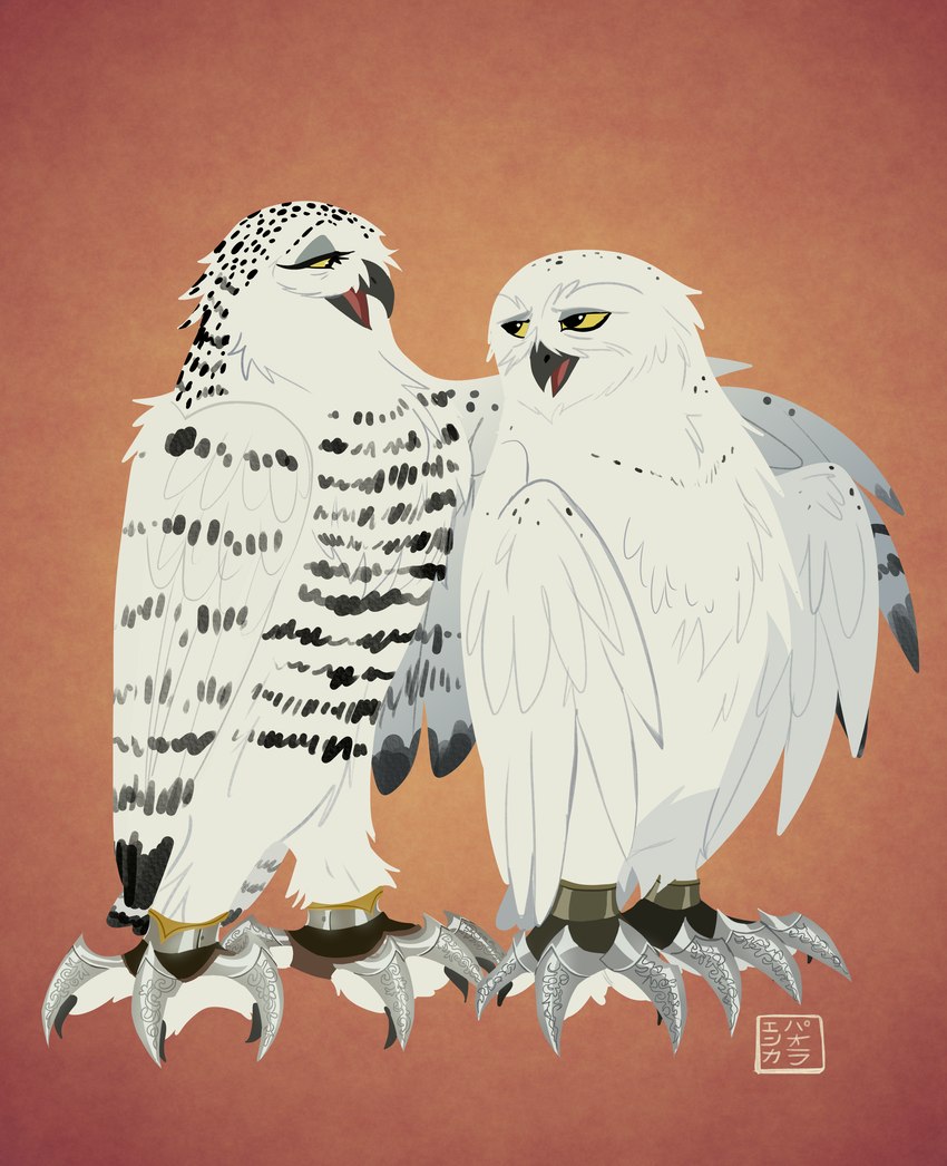 barran and boron (guardians of ga'hoole) created by kabuki-aku