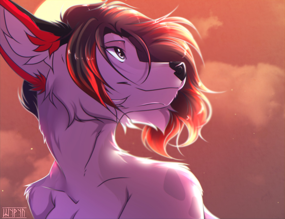 created by shyryp