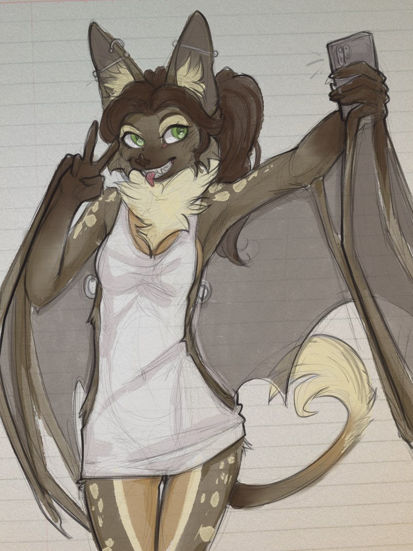 robin created by yshanii